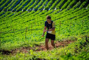 BIB: 
                            <button type="button" onclick="openModal(19161420)" class="btn btn-primary btn-sm float-right btn-popup" data-toggle="modal" data-target=".modal-high-quality">
                        <i class="fas fa-shopping-cart"></i> Add to Cart
                    </button>
                                            <button type="button" onclick="isThisMe(19161420, true)" class="btn btn-success btn-sm float-right btn-popup btn-isme hidden" data-toggle="tooltip" data-placement="bottom" title="นี่คือรูปของคุณใช่ไหม คลิกที่นี่เพื่อเอาเข้าอัลบั้ม">
                        <i class="fas fa-plus"></i> Add to album
                    </button>
                    <button type="button" onclick="isThisMe(19161420, false)" class="btn btn-warning btn-sm float-right btn-popup btn-isnotme hidden">
                        <i class="fas fa-ban"></i> Remove from album
                    </button>